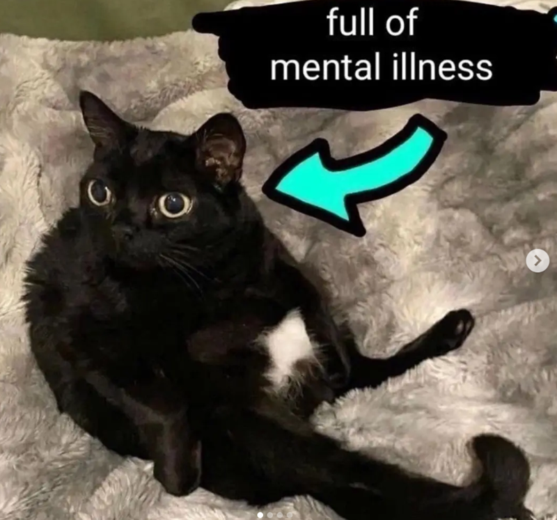 full of mental illness