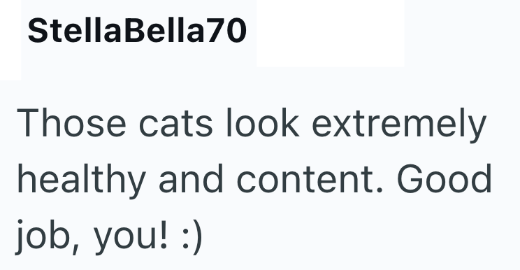 StellaBella70 Those cats look extremely healthy and content. Good job, you! :)