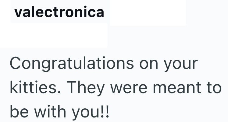 valectronica Congratulations on your kitties. They were meant to be with you!!
