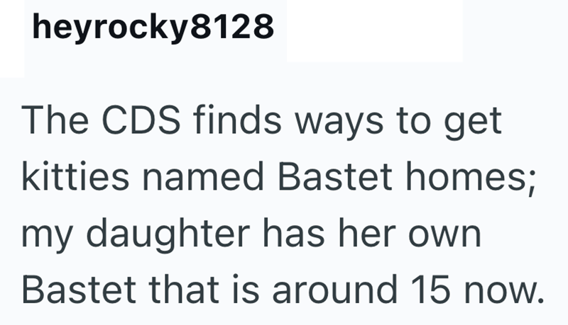 heyrocky8128 The CDS finds ways to get kitties named Bastet homes; my daughter has her own. Bastet that is around 15 now.