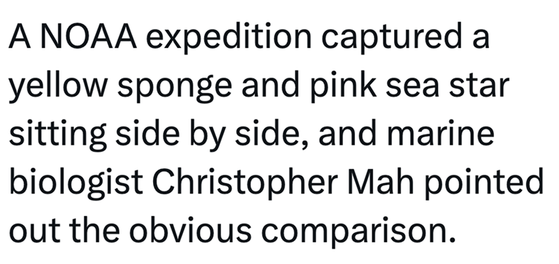 A NOAA expedition captured a yellow sponge and pink sea star sitting side by side, and marine biologist Christopher Mah pointed out the obvious comparison.