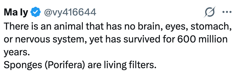 Maly @vy416644 There is an animal that has no brain, eyes, stomach, or nervous system, yet has survived for 600 million years. Sponges (Porifera) are living filters.