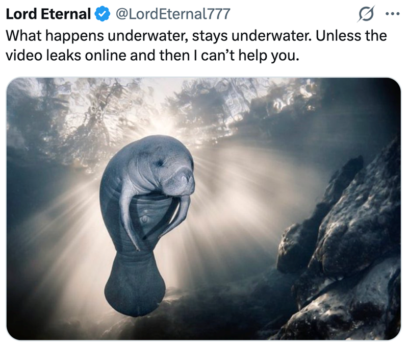 Lord Eternal @Lord Eternal777 What happens underwater, stays underwater. Unless the video leaks online and then I can't help you.