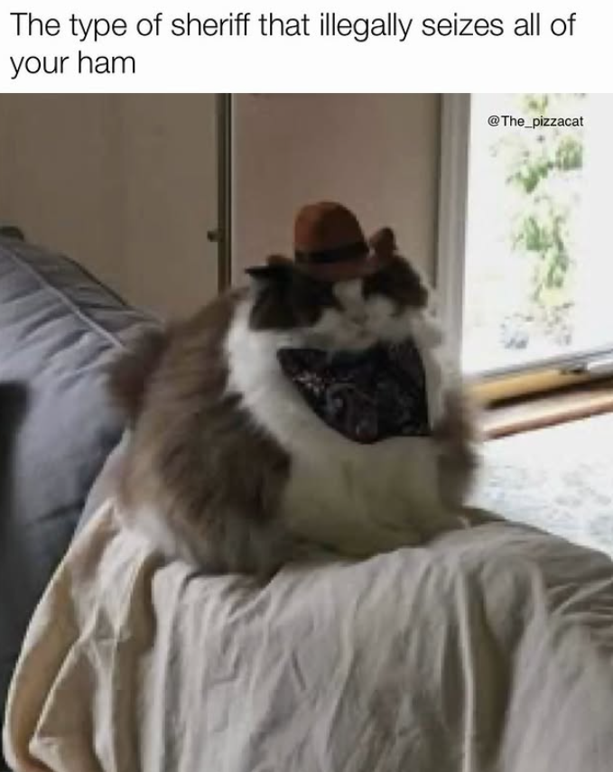 The type of sheriff that illegally seizes all of your ham @The_pizzacat