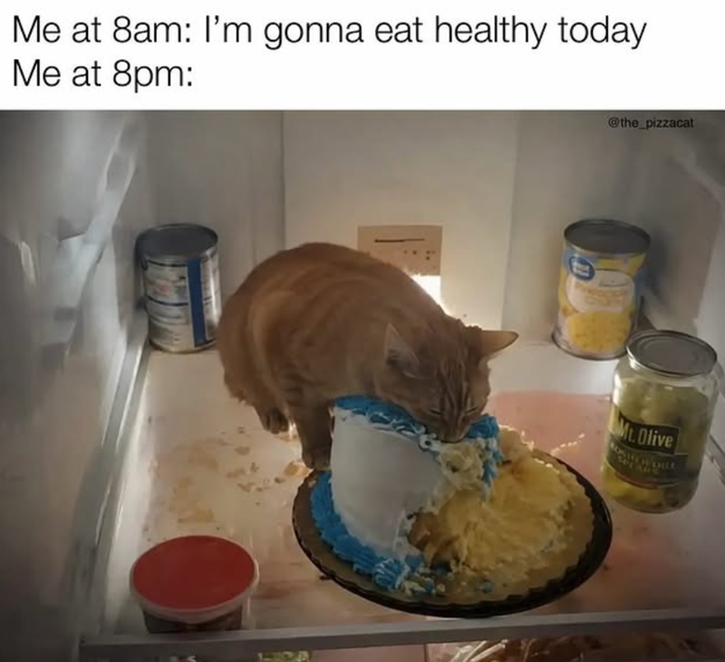 Me at 8am: I'm gonna eat healthy today Me at 8pm: @the_pizzacat Mt. Olive SALE AGE