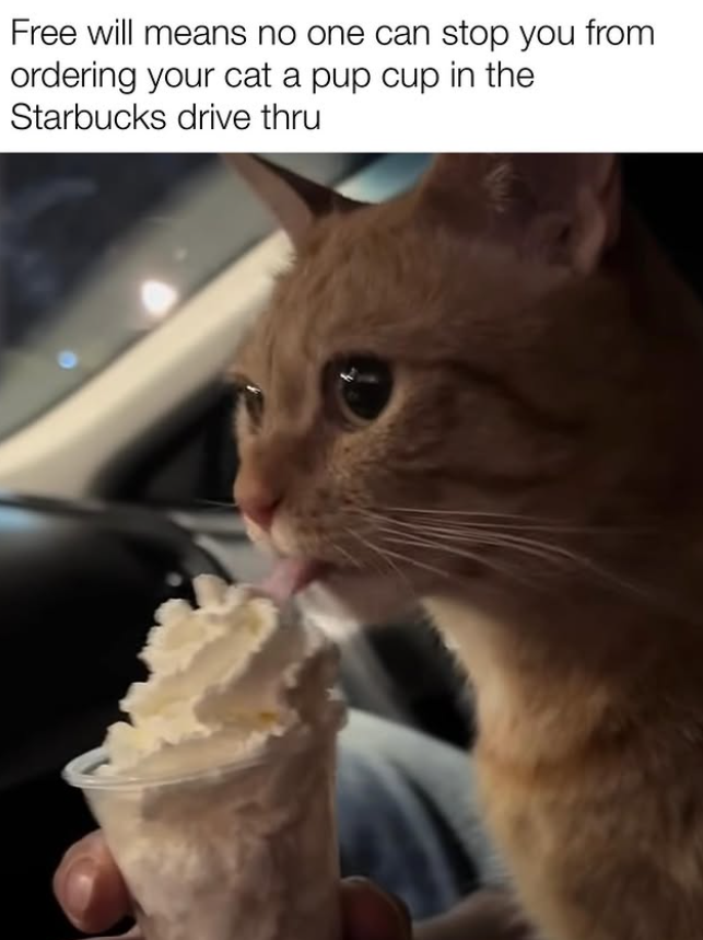 Free will means no one can stop you from ordering your cat a pup cup in the Starbucks drive thru