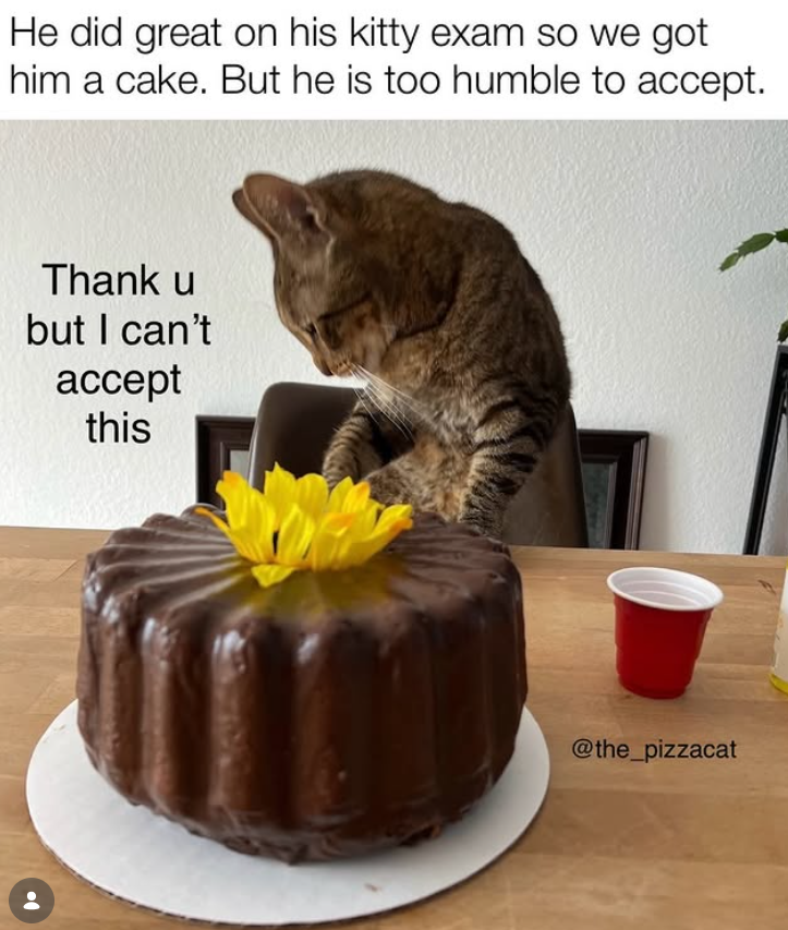 He did great on his kitty exam so we got him a cake. But he is too humble to accept. Thank u but I can't accept this @the_pizzacat