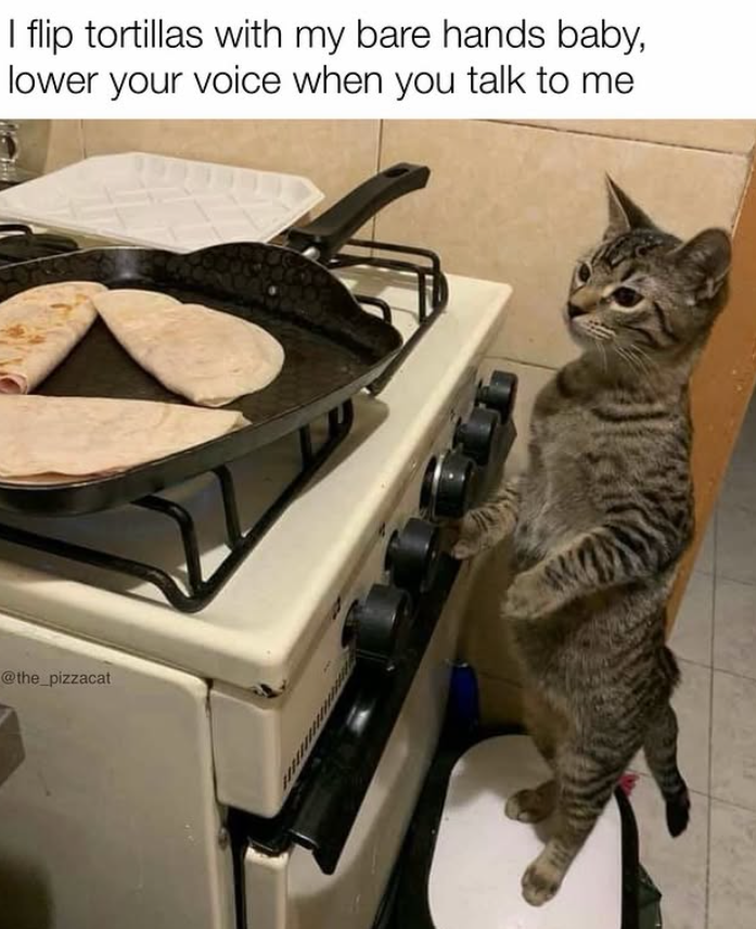 I flip tortillas with my bare hands baby, lower your voice when you talk to me @the_pizzacat
