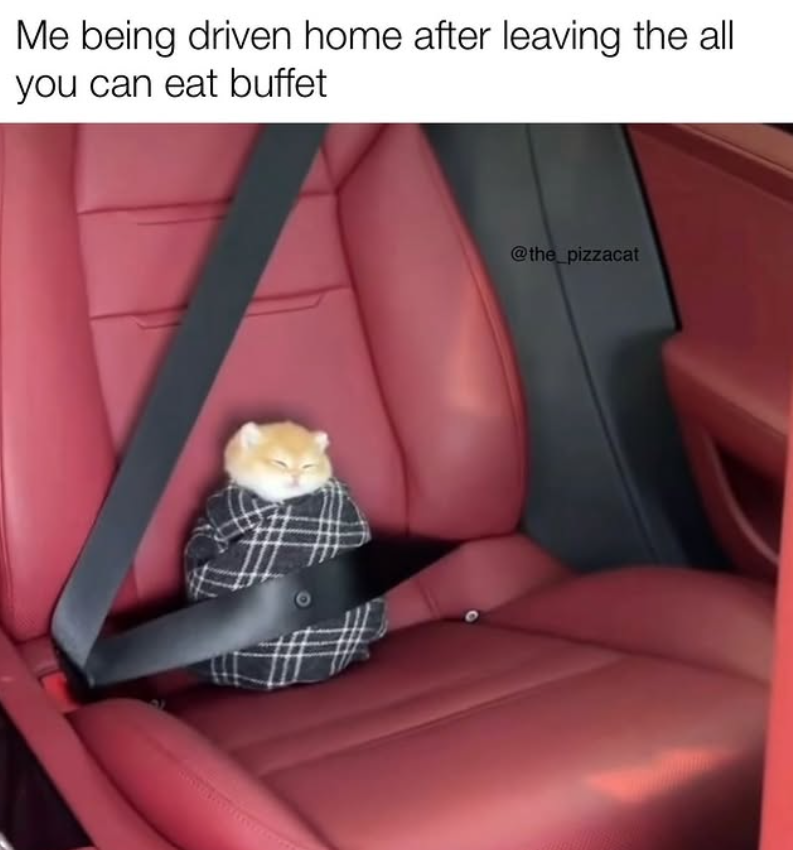 Me being driven home after leaving the all you can eat buffet @the_pizzacat