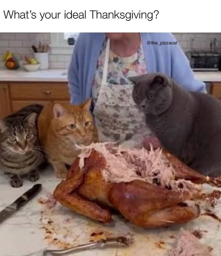 What's your ideal Thanksgiving? @the_pizzacat