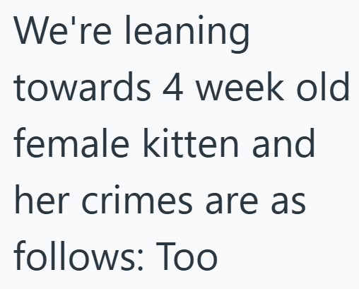 We're leaning towards 4 week old female kitten and her crimes are as follows: Too