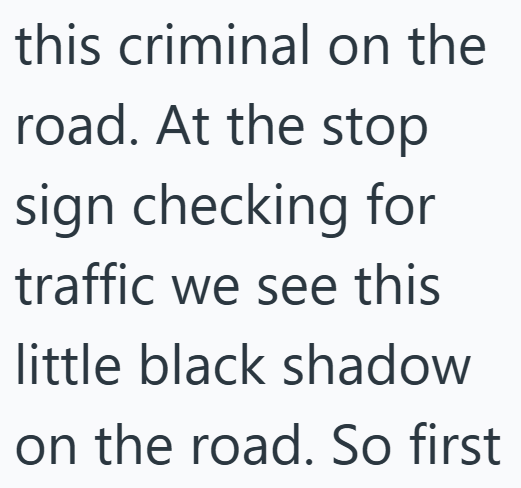this criminal on the road. At the stop sign checking for traffic we see this little black shadow on the road. So first