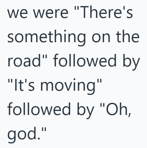 we were "There's something on the road" followed by "It's moving" followed by "Oh, god."