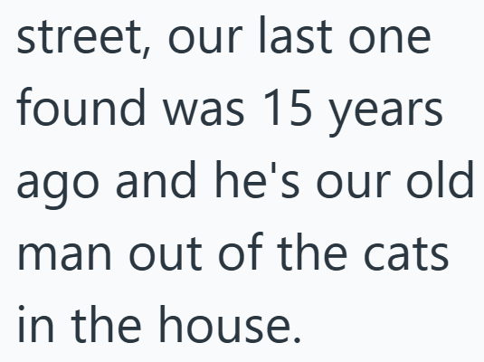street, our last one found was 15 years ago and he's our old man out of the cats in the house.