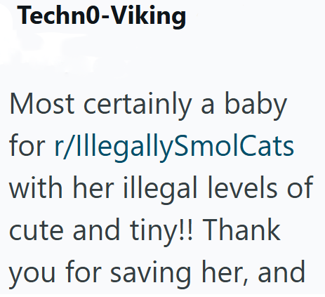 Techno-Viking Most certainly a baby for r/IllegallySmolCats with her illegal levels of cute and tiny!! Thank you for saving her, and