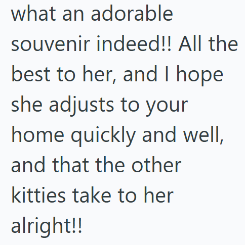 what an adorable souvenir indeed!! All the best to her, and I hope she adjusts to your home quickly and well, and that the other kitties take to her alright!!