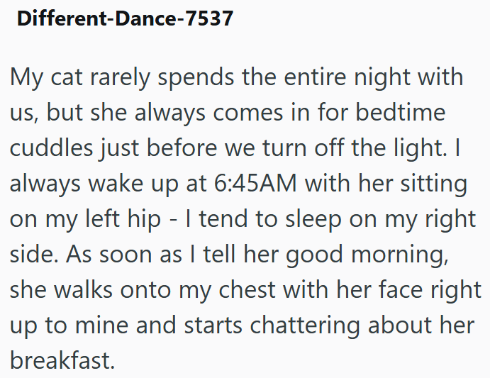 Different-Dance-7537 My cat rarely spends the entire night with us, but she always comes in for bedtime cuddles just before we turn off the light. I always wake up at 6:45AM with her sitting on my left hip - I tend to sleep on my right side. As soon as I tell her good morning, she walks onto my chest with her face right up to mine and starts chattering about her breakfast.