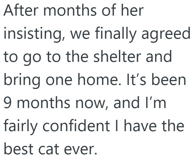 After months of her insisting, we finally agreed to go to the shelter and bring one home. It's been 9 months now, and I'm fairly confident I have the best cat ever.