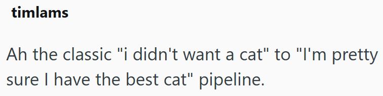 timlams Ah the classic "i didn't want a cat" to "I'm pretty sure I have the best cat" pipeline.