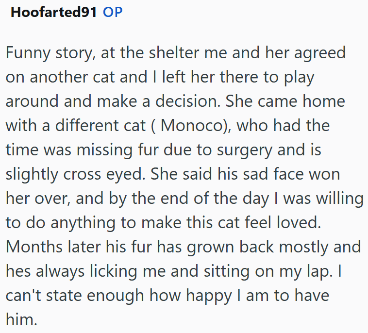 Hoofarted91 OP Funny story, at the shelter me and her agreed on another cat and I left her there to play around and make a decision. She came home with a different cat ( Monoco), who had the time was missing fur due to surgery and is slightly cross eyed. She said his sad face won her over, and by the end of the day I was willing to do anything to make this cat feel loved. Months later his fur has grown back mostly and hes always licking me and sitting on my lap. I can't state enough how happy I