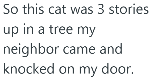 So this cat was 3 stories up in a tree my neighbor came and knocked on my door.
