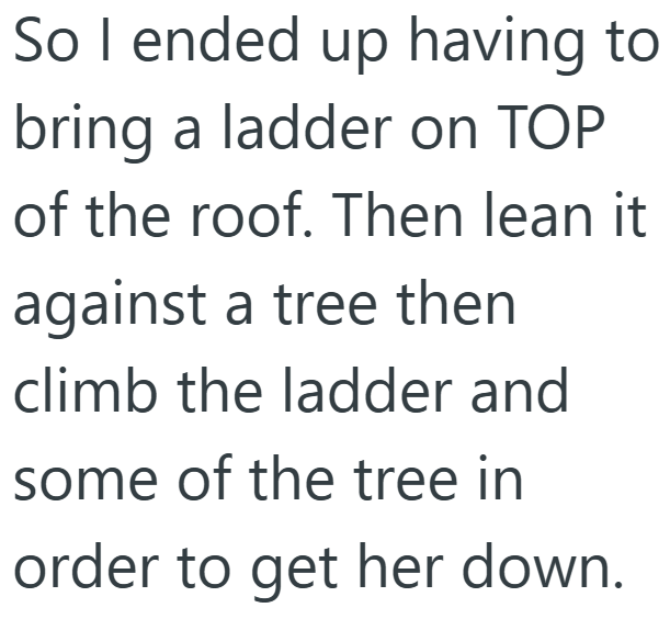 So I ended up having to bring a ladder on TOP of the roof. Then lean it against a tree then climb the ladder and some of the tree in order to get her down.