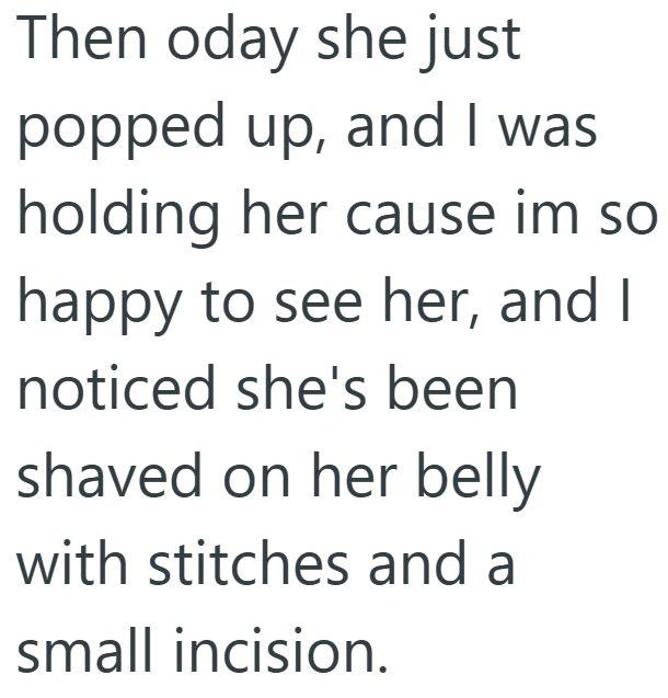 Then oday she just popped up, and I was holding her cause im so happy to see her, and I noticed she's been shaved on her belly with stitches and a small incision.