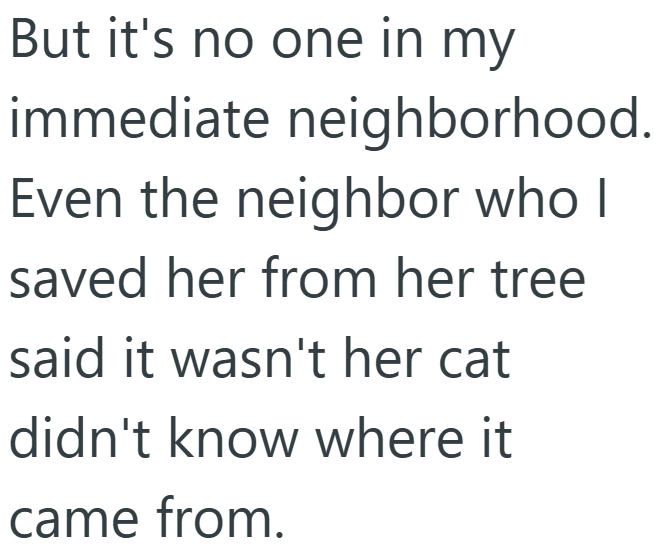 But it's no one in my immediate neighborhood. Even the neighbor who I saved her from her tree said it wasn't her cat didn't know where it came from.