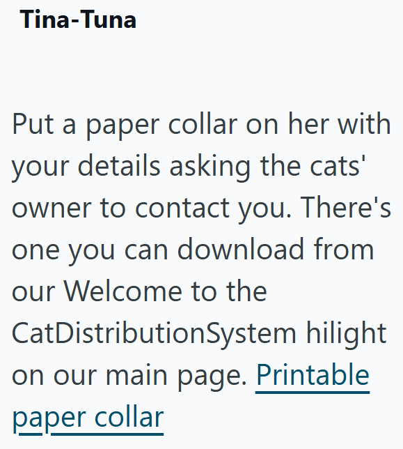 Tina-Tuna Put a paper collar on her with your details asking the cats' owner to contact you. There's one you can download from our Welcome to the CatDistribution System hilight on our main page. Printable paper collar