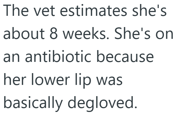 The vet estimates she's about 8 weeks. She's on an antibiotic because her lower lip was basically degloved.
