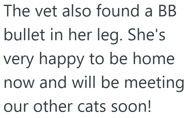 The vet also found a BB bullet in her leg. She's very happy to be home now and will be meeting our other cats soon!