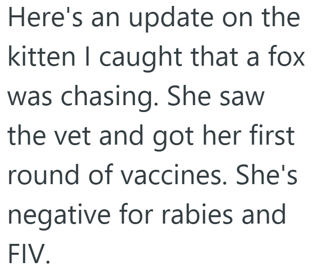 Here's an update on the kitten I caught that a fox was chasing. She saw the vet and got her first round of vaccines. She's negative for rabies and FIV.