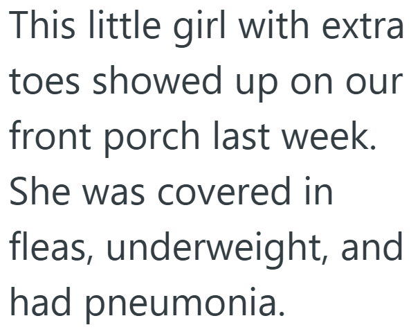 This little girl with extra toes showed up on our front porch last week. She was covered in fleas, underweight, and had pneumonia.