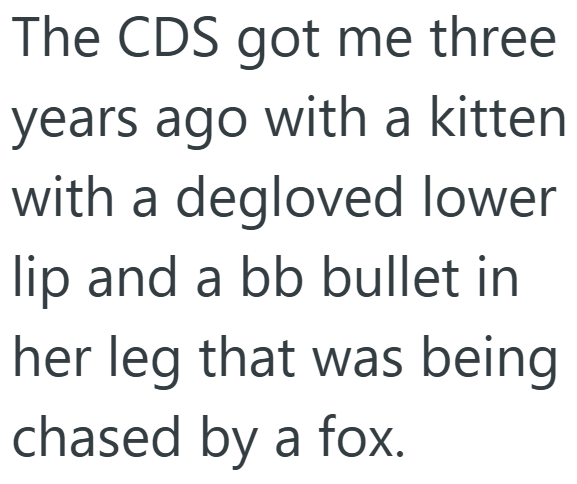 The CDS got me three years ago with a kitten with a degloved lower lip and a bb bullet in her leg that was being chased by a fox.