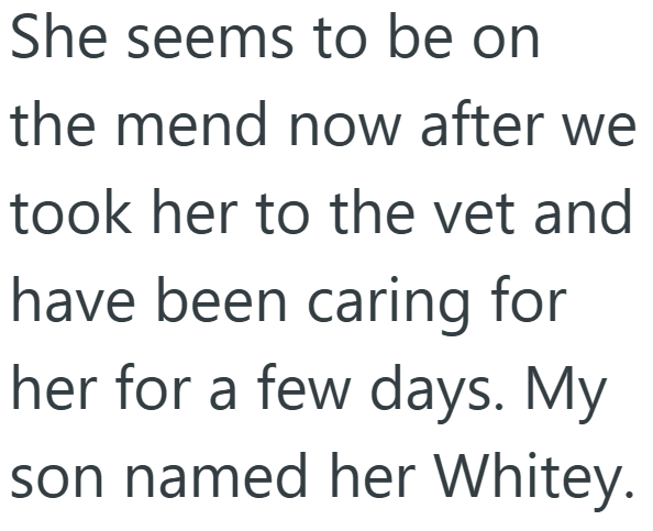 She seems to be on the mend now after we took her to the vet and have been caring for her for a few days. My son named her Whitey.