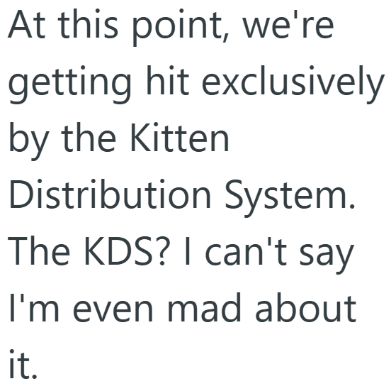 At this point, we're getting hit exclusively by the Kitten Distribution System. The KDS? I can't say I'm even mad about it.