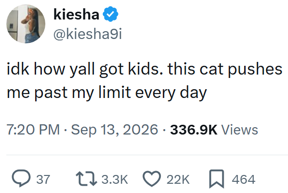 kiesha ❤ @kiesha9i idk how yall got kids. this cat pushes me past my limit every day • 7:20 PM Sep 13, 2026 336.9K Views > 37 13.3K 22K 464