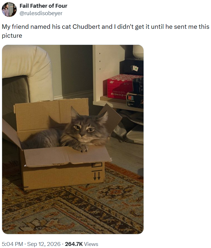 Fail Father of Four @rulesdisobeyer My friend named his cat Chudbert and I didn't get it until he sent me this picture • 5:04 PM · Sep 12, 2026 264.7K Views MB