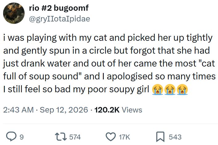 rio #2 bugoomf @gryIIotalpidae i was playing with my cat and picked her up tightly and gently spun in a circle but forgot that she had just drank water and out of her came the most "cat full of soup sound" and I apologised so many times I still feel so bad my poor soupy girl 2:43 AM ⚫ Sep 12, 2026 120.2K Views 9 17574 17K ☐ 543