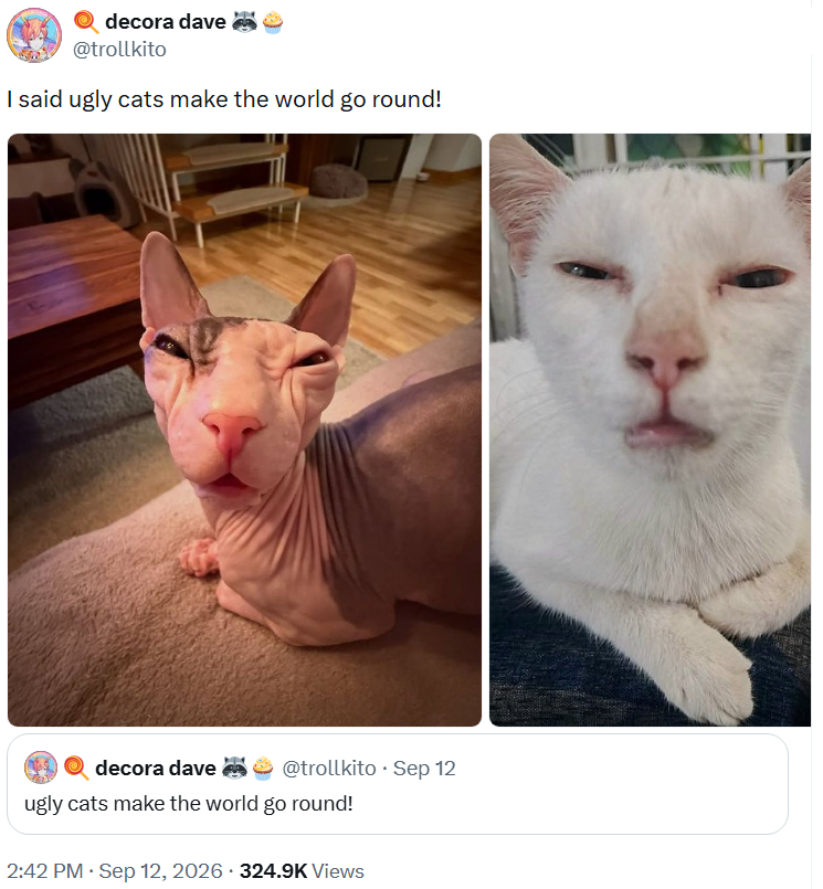 decora dave @trollkito I said ugly cats make the world go round! decora dave @trollkito Sep 12 ugly cats make the world go round! • 2:42 PM · Sep 12, 2026 324.9K Views