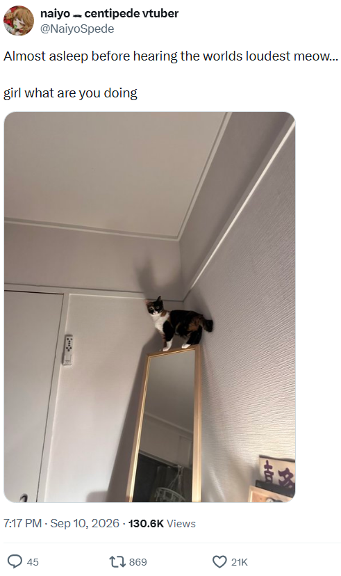 naiyo centipede vtuber @NaiyoSpede Almost asleep before hearing the worlds loudest meow... girl what are you doing 7:17 PM - Sep 10, 2026 - 130.6K Views 45 17869 21K A