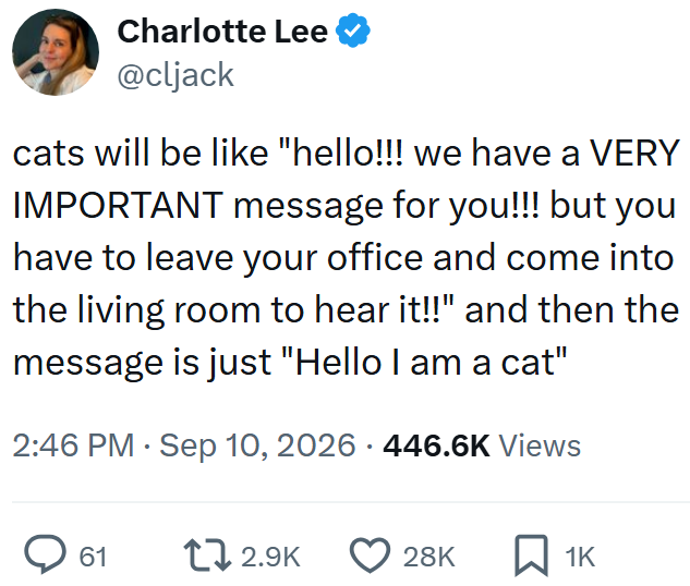 Charlotte Lee @cljack cats will be like "hello!!! we have a VERY IMPORTANT message for you!!! but you have to leave your office and come into the living room to hear it!!" and then the message is just "Hello I am a cat" 2:46 PM Sep 10, 2026 446.6K Views • 61 12.9K 28K ☐ 1K