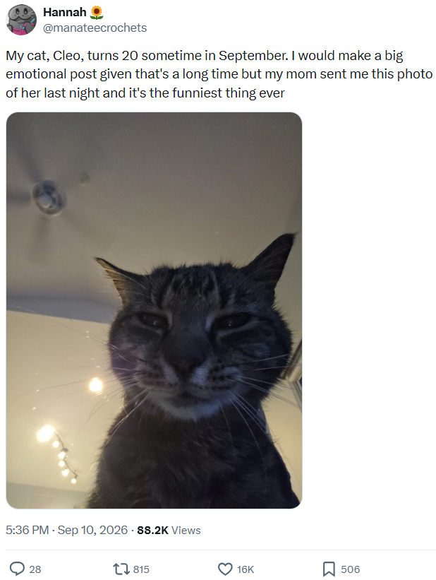 Hannah @manateecrochets My cat, Cleo, turns 20 sometime in September. I would make a big emotional post given that's a long time but my mom sent me this photo of her last night and it's the funniest thing ever 5:36 PM - Sep 10, 2026 - 88.2K Views 28 815 16K 506