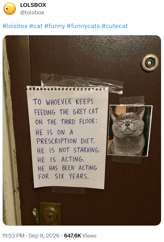 LOLSBOX @lolsbox #lolsbox #cat #funny #funnycats #cutecat TO WHOEVER KEEPS FEEDING THE GREY CAT ON THE THIRD FLOOR: HE IS ON A PRESCRIPTION DIET. HE IS NOT STARVING. HE IS ACTING. HE HAS BEEN ACTING FOR SIX YEARS. 11:53 PM • Sep 9, 2026 647.6K Views