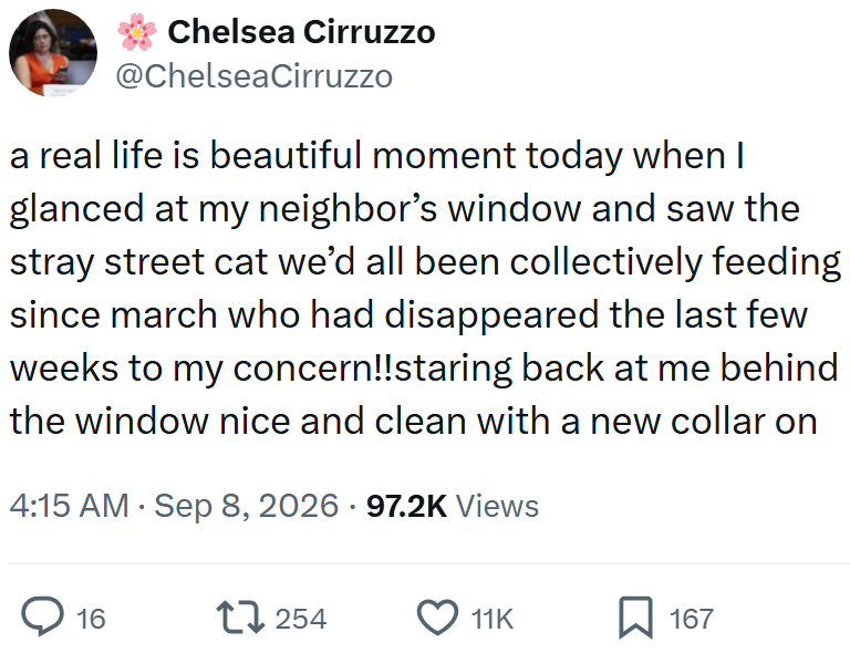 Chelsea Cirruzzo @ChelseaCirruzzo a real life is beautiful moment today when I glanced at my neighbor's window and saw the stray street cat we'd all been collectively feeding since march who had disappeared the last few weeks to my concern!!staring back at me behind the window nice and clean with a new collar on 4:15 AM · Sep 8, 2026 97.2K Views ○ 16 17254 11K ☐ 167