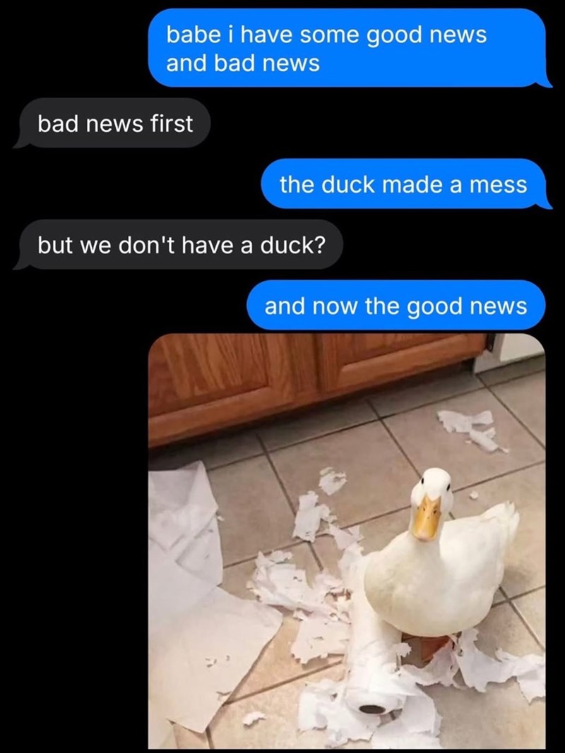 babe i have some good news and bad news bad news first the duck made a mess but we don't have a duck? and now the good news