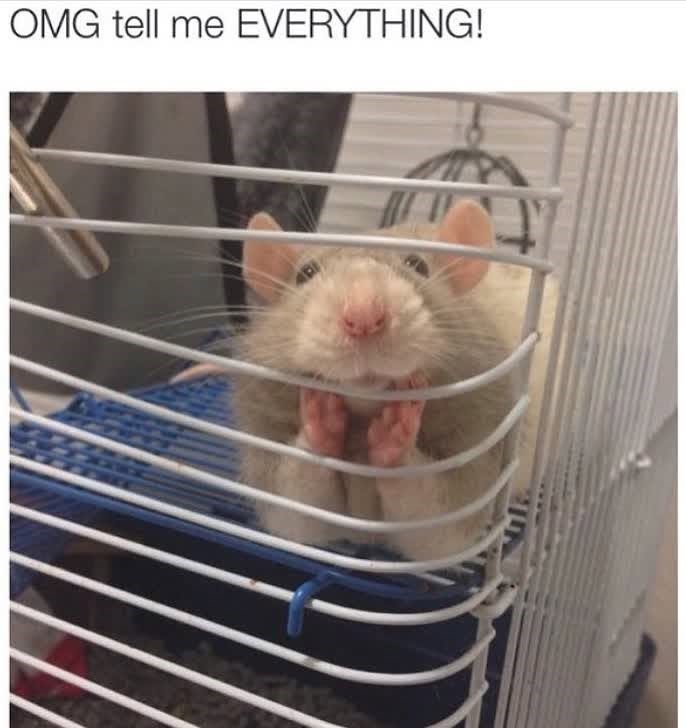 OMG tell me EVERYTHING!