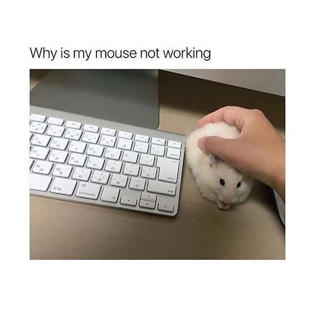 Why is my mouse not working ** 0 " C u M 6 かな commond