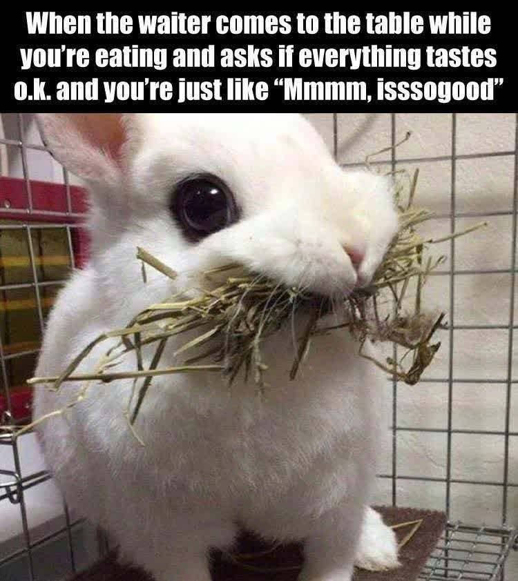 When the waiter comes to the table while you're eating and asks if everything tastes o.k. and you're just like "Mmmm, isssogood"