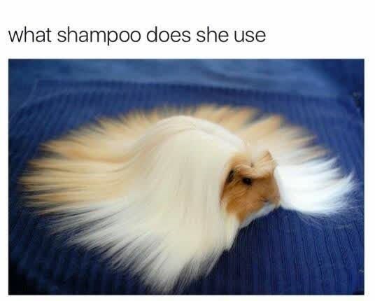 what shampoo does she use